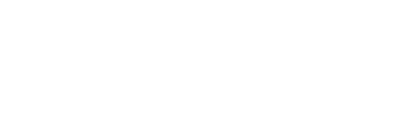Pulso21